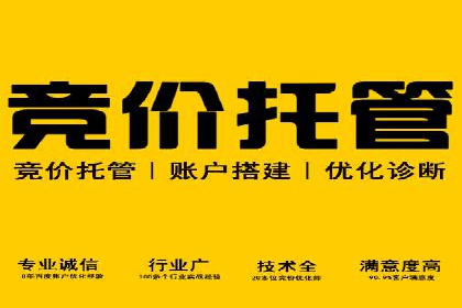 百度SEO推广公司案例分享：实战经验谈